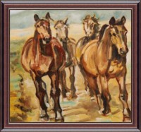 /album/rozne/koniky1-jpg/